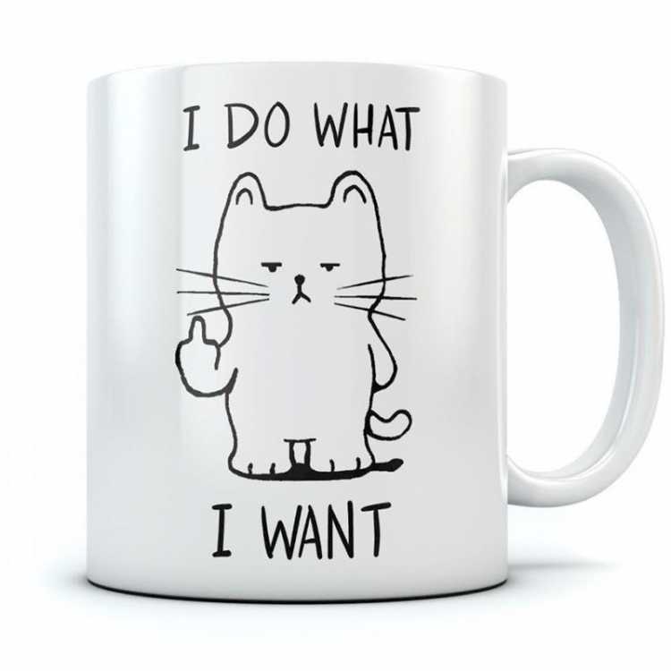 I Do What I Want Cat Funny White Coffee Mug with Stirring Spoon Funny Cat Kitty Lover Mom Gift